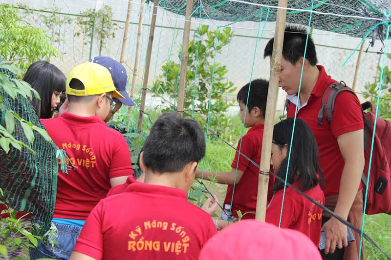 5 hoat dong he cho be 2